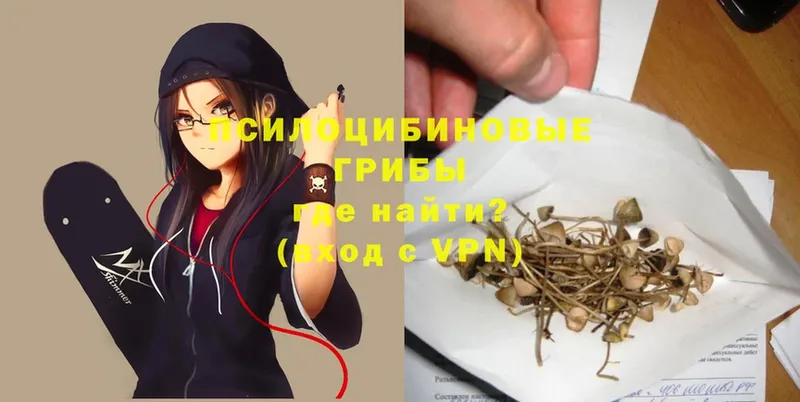 Псилоцибиновые грибы MAGIC MUSHROOMS  купить   Электрогорск 